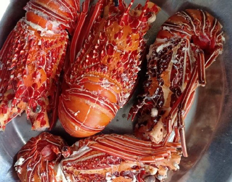 Beberapa Cara Mengolah Lobster Dari Segala Penjuru Dunia